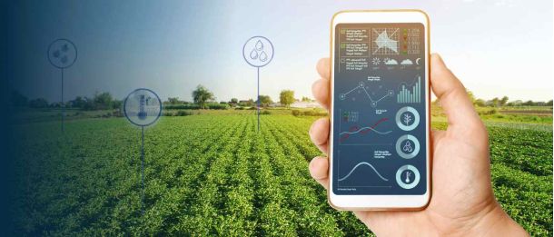 assessoria de imprensa para o agronegócio